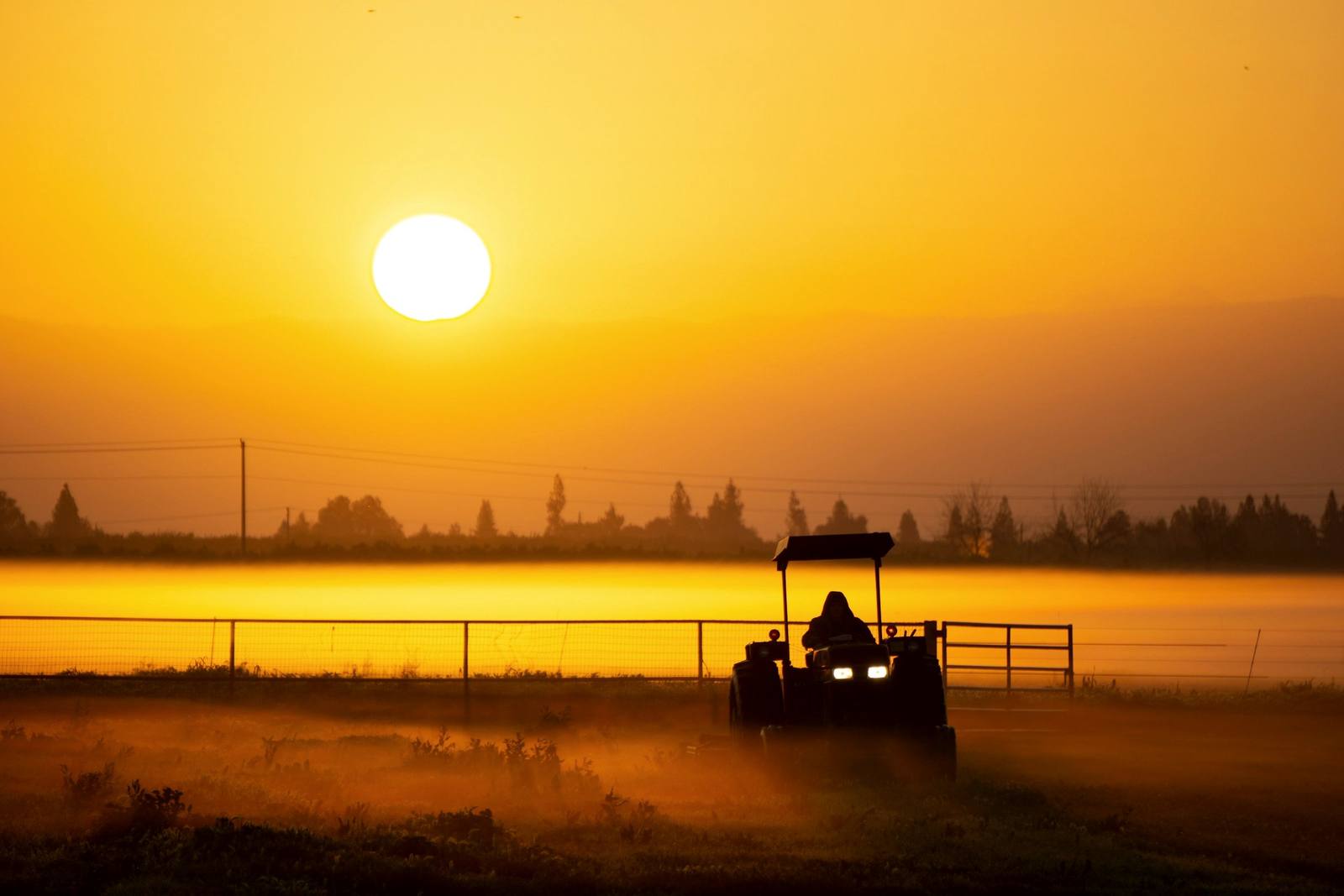 Tractor trabajando al amanecer entre neblina dorada